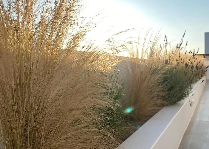 Nove Milos Luxury By Estia Penzion